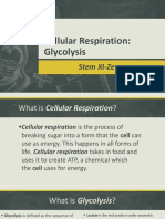 Cellular Respiration: Glycolysis Generates ATP