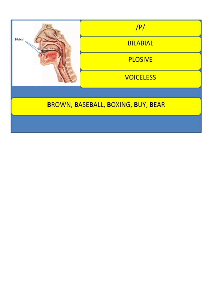 Voiceless Bilabial Plosive Sounds | PDF