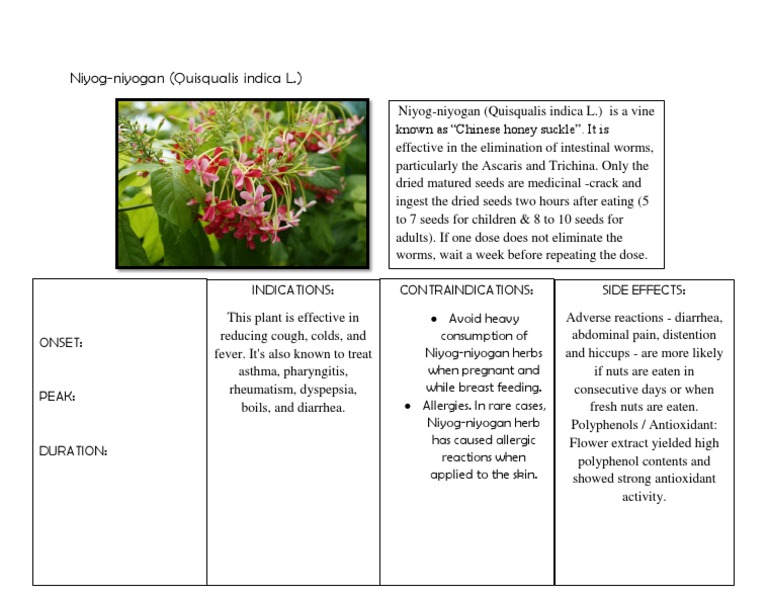 NiyogNiyogan (Quisqualis Indica L.) PDF