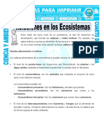 30 Ficha Relaciones en Los Ecosistemas para Cuarto de Primaria