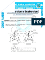 8 Ficha Inspiracion y Espiracion Para Cuarto de Primaria