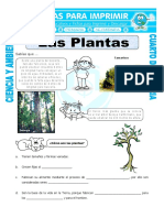 16 Ficha-Las-Plantas-para-Cuarto-de-Primaria.doc