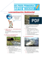 Contaminación-Ambiental-para-Cuarto-de-Primaria.pdf