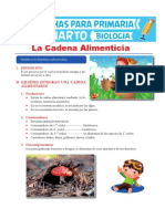 La-Cadena-Alimenticia-para-Cuarto-de-Primaria.pdf