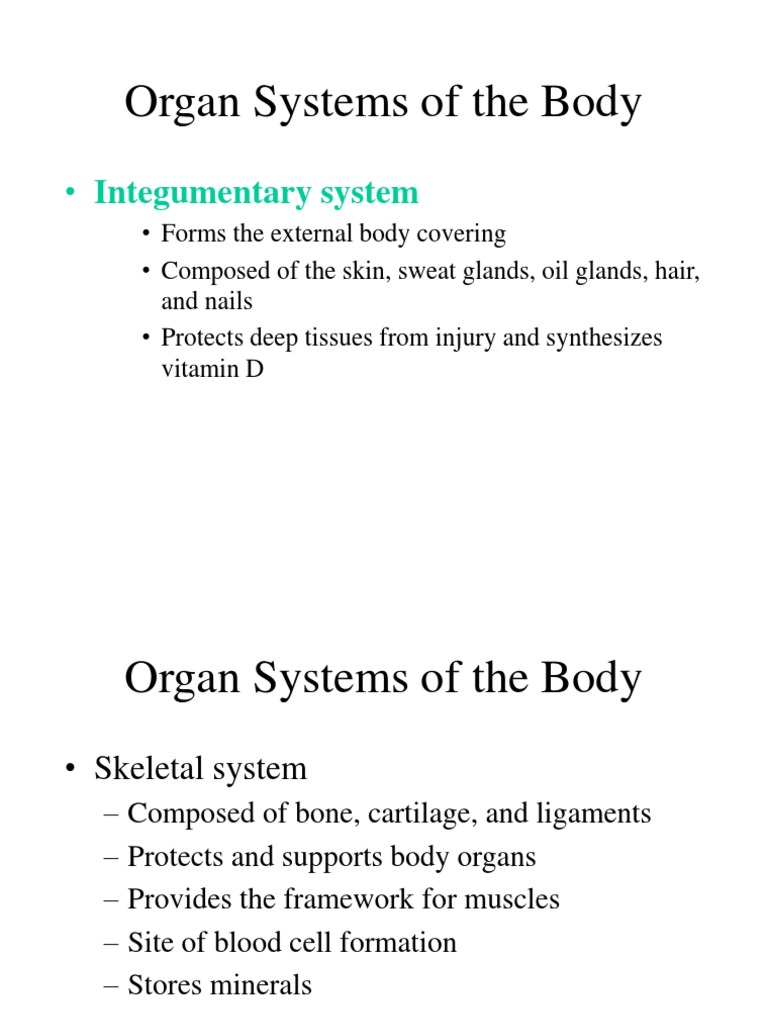 Overview of Human Body Organ Systems | PDF | Human Body | Reproductive ...