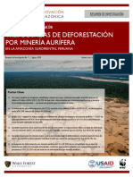 CINCIA Research Brief 1 Three Decades of Deforestation PDF
