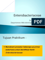 Praktikum Enterobacteriaceae