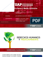 Derechos humanos y medio ambiente: Curso de derecho ambiental y desarrollo sostenible