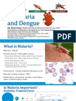 Basu-Gopal - Opt Malaria Update PDF