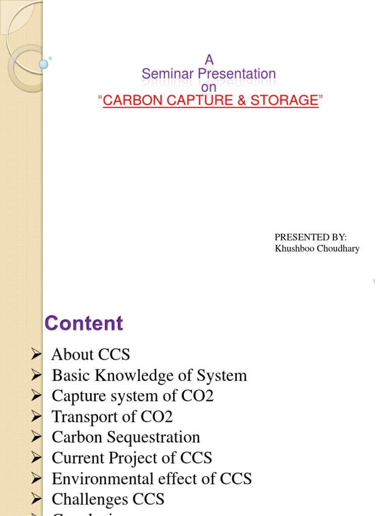 Carbon Capture & Storage Overview | PDF | Carbon Capture And Storage ...