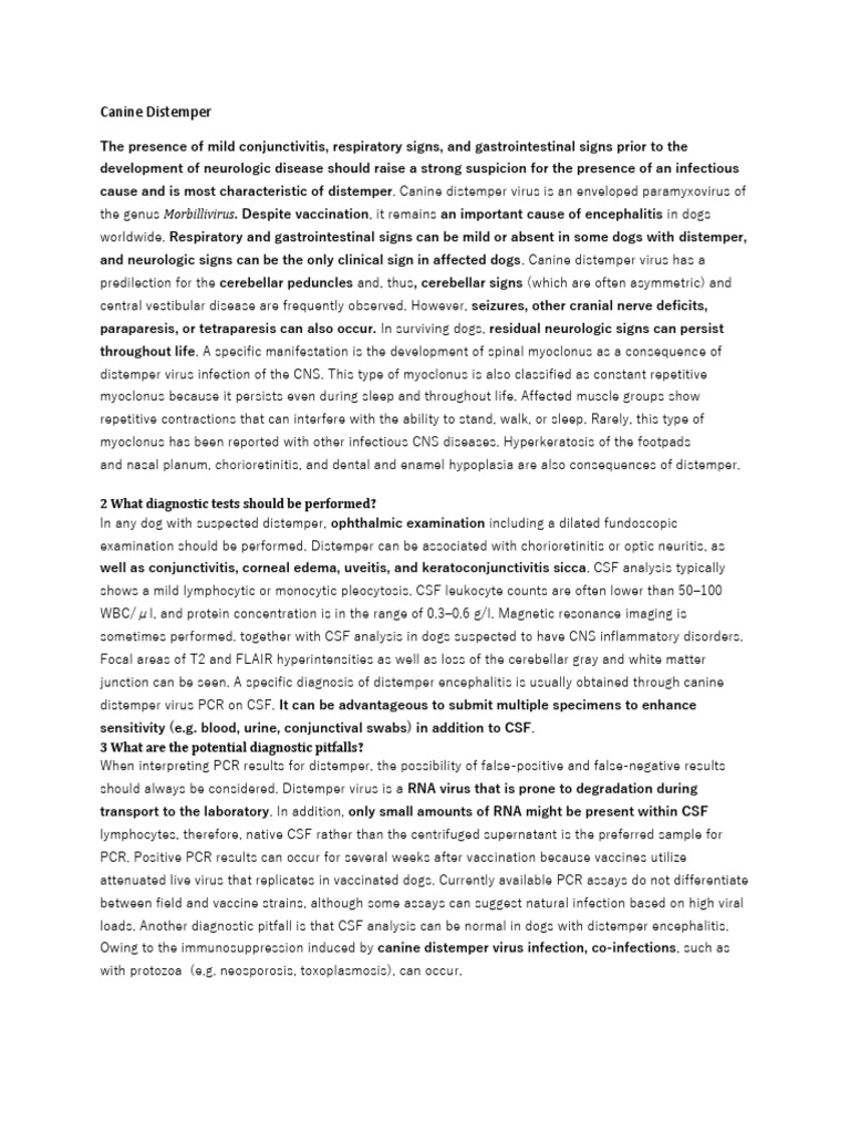 Canine Distemper PDF Virus Immunology