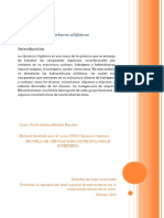 Módulo 1. Hidrocarburos Alifáticos PDF