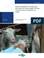 Recomendações Técnicas para IA Transcervical em Caprinos No Brasil