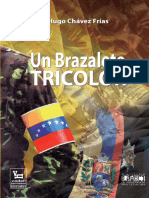 brazalete_tricolor.pdf