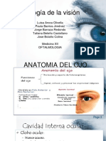 anatomia del ojo