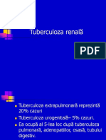 Tuberculoza Renală