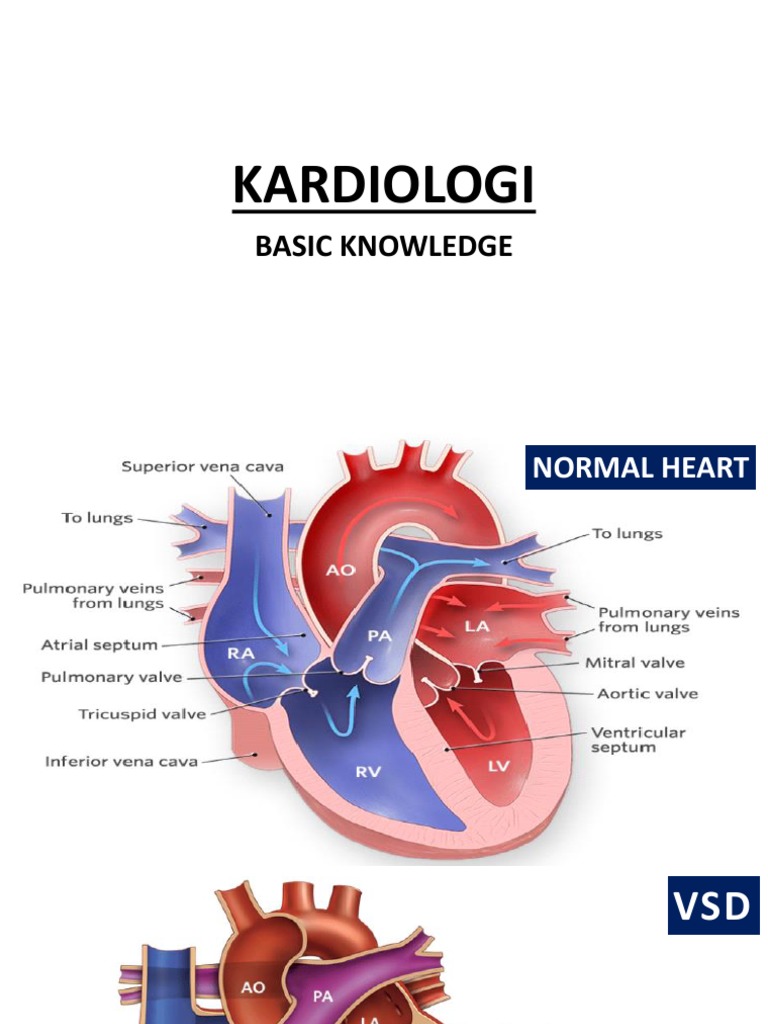 Kardiologi Basic Knowledge | PDF