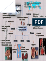 Malformaciones Congénitas Renoureterales