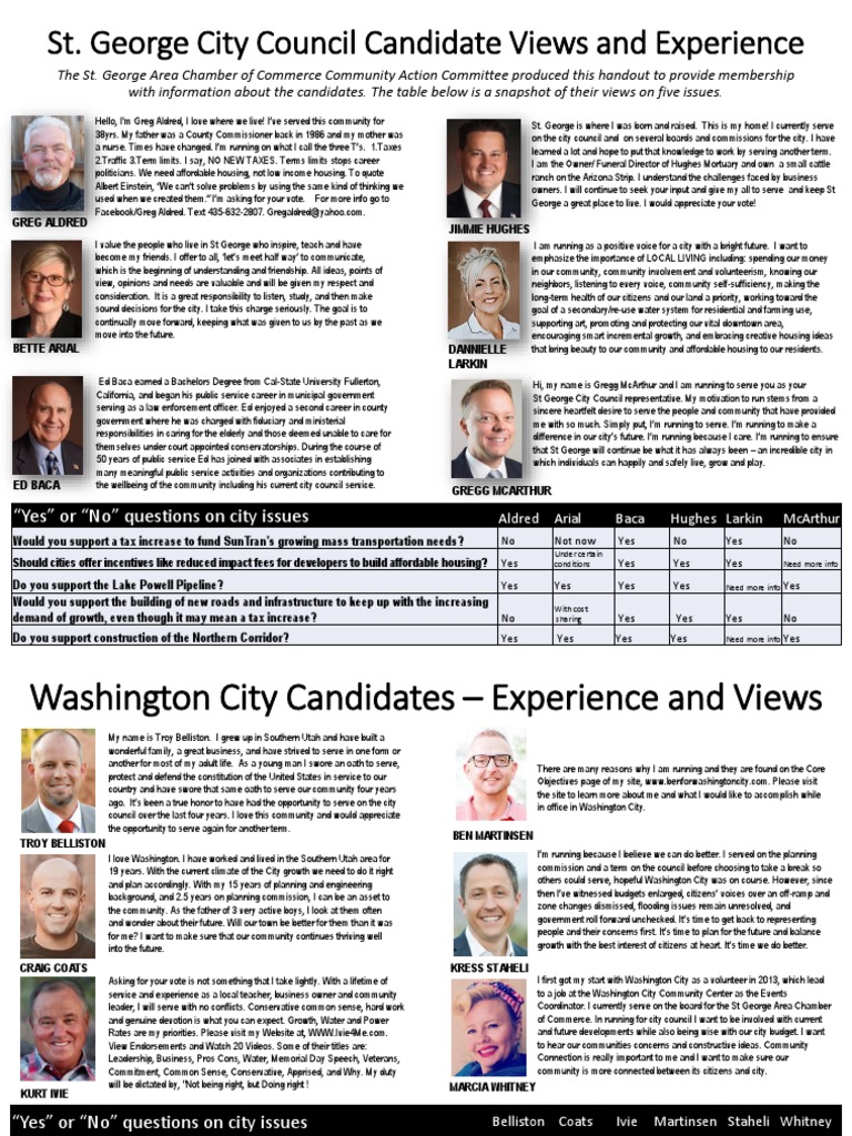 City Council Candidate Flyer General Taxes Business