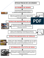 Características físicas y estructura de granos cereales