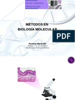 8.Charla congreso HT biologia molecular.Martinelli.pdf