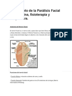 Tratamiento de La Parálisis Facial