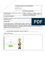 Evidencia 2 Formato - Peligros - Riesgos - Sec - Economicos