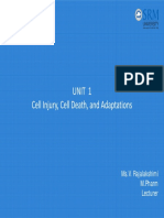 Cell PDF