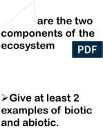 Ecosystem Grade 7