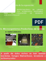 Producción Biotecnológica de Lipasas Microbianas, Una Alternativa