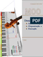 MOO-Detalhamento (1).pdf