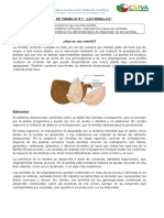 Guia 1 C. Naturales Las - Semillas