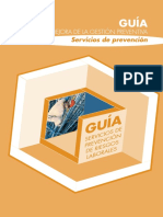 17 Servicios Prevencion PDF