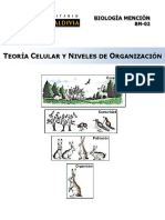 BM02 Teoría Celular y Niveles de Organización.pdf