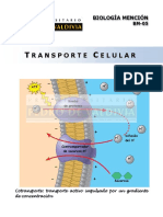 BM05 Transporte Celular.pdf