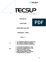 Proyecto Capstone Final PDF