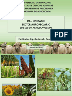 Ica - Unidad Iii Sector Agropecuario