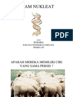 Asam_Nukleat.ppt (1).ppt