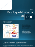 Sistema endocrino: hormonas y funciones principales