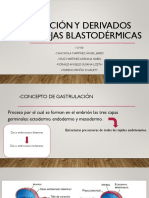 Gastrulación y Derivados de Las Hojas Blastodérmicas