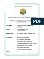 Informe de Manjar