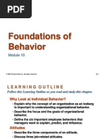 10. Foundations of Behavior.ppt