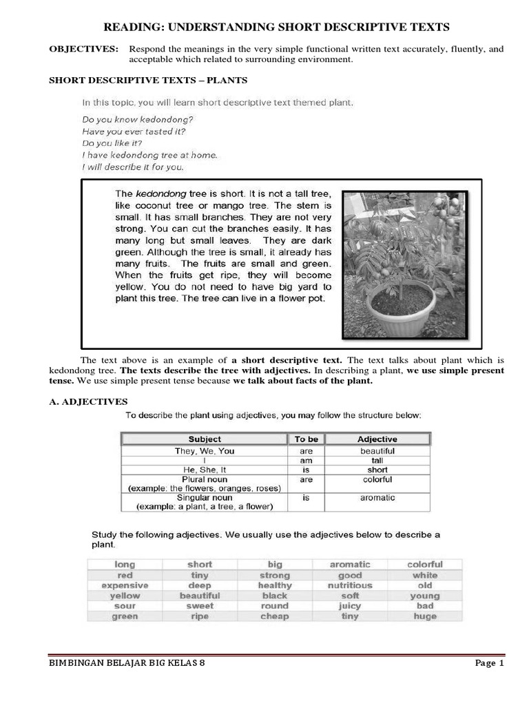 Short Descriptive Texts PDF Rose Flowers