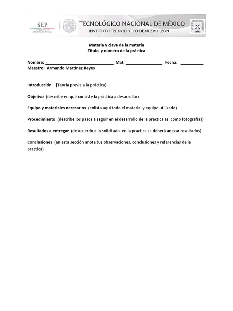 Formato Practica | PDF