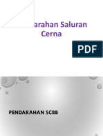 Pendarahan Saluran Cerna