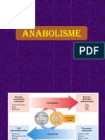 Anabolisme Kimia 2019