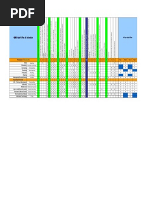 Audit plan