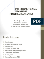 Deteksi Dini Penyakit Ginjal Kronis Dan Penatalaksanaannya: Artaria Tjempakasari