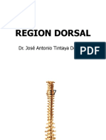 Nuca y Región Dorsal