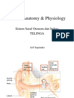 Human Anatomy & Physiology: Sistem Saraf Otonom Dan Indera Telinga